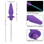 CALEXOTICS - SOUTHERN LIGHTS LIGHT UP ANAL PLUG 10 VIBRATIONS SILIKONIPUPURA
